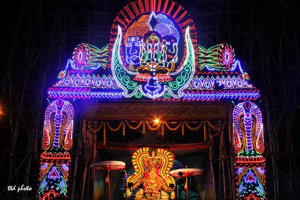 Lord-Kapileswara-Swamy-hamsa-vahanam