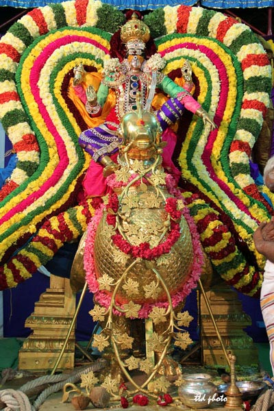 hamsa-vahanam-Lord-Kapileswara-Swamy