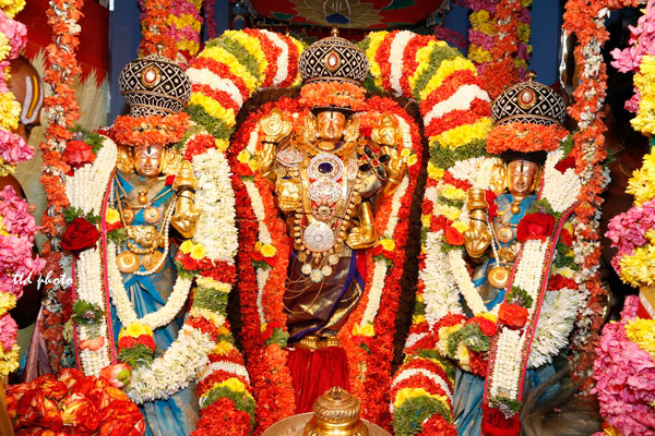 rathotsavam-Srinivasa-Mangapuram