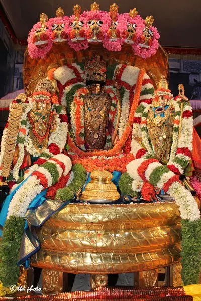 Procession On Peddasesha Vahanam