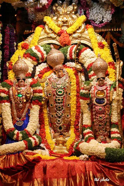 SriRama-Sita-Lakshmana-processional-deities