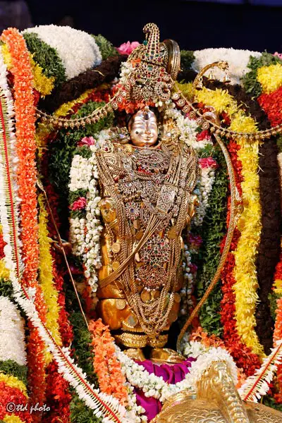 hamsa-vahanam-Sri-Kodanda-Rama-Swamy-Temple