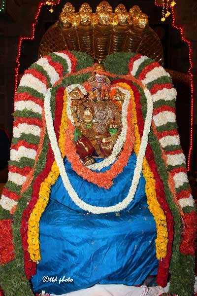 Lord-Govindaraja-Swamy-Temple-Chinnasesha-Vahanam