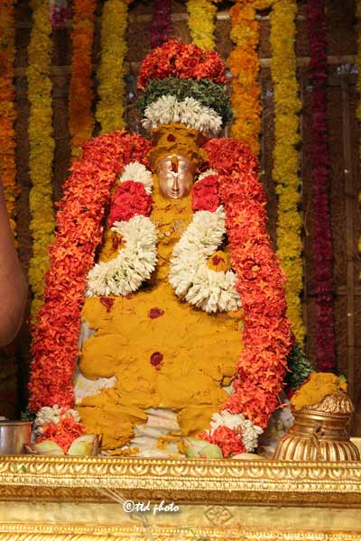 Padmavathi-Ammavaru-Vasanthotsaam