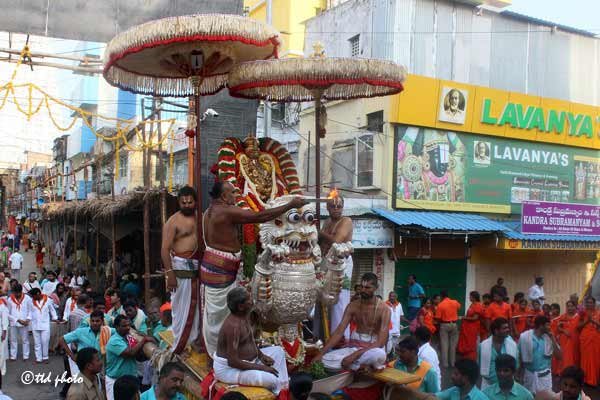 Tirupati-Sri-Govindaraja-Swamy-Simha-Vahanam