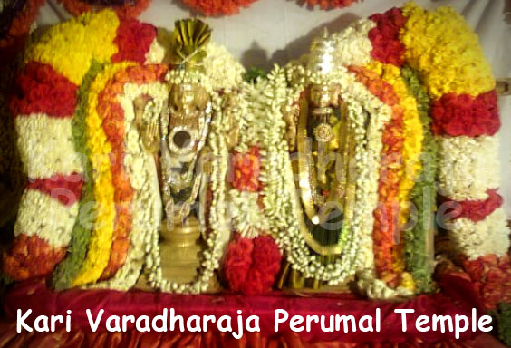 Kari-Varadharaja-Perumal-Temple