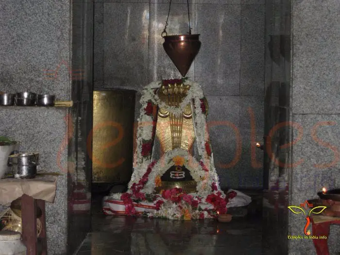 Maha Shivaratri Rituals to Follow | Shivaratri Rituals