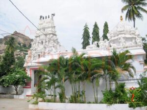 Swayam-Bhvaneshwara-Swamy-Temple-Gopuram