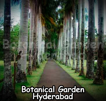 Hyderabad Botanical Garden