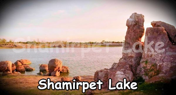 Shamirpet Lake