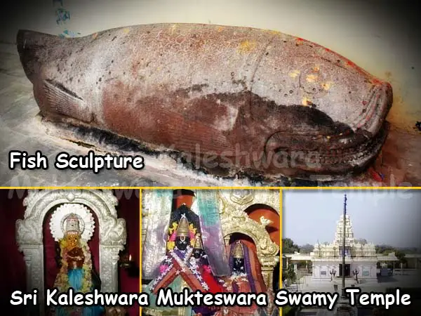 Fish sculpture at Sri Kaleshwara Mukteswara Swamy Temple Kaleshwaram