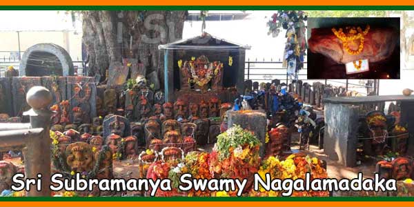 Nagalamadaka Sri Subramanya Swamy Temple