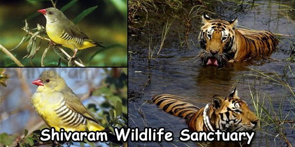 Shivaram Wildlife Sanctuary Karimnagar
