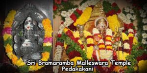 Sri Bramaramba Malleswara Temple Pedakakani
