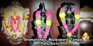 Sri Bramaramba Malleswara Temple Rahu Ketu