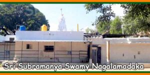 Sri Subramanya Swamy Nagalamadaka