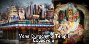 Vana Durgamma Temple Edupayala