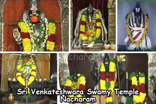 Sri Venkateshwara Temple Nacharam Idols