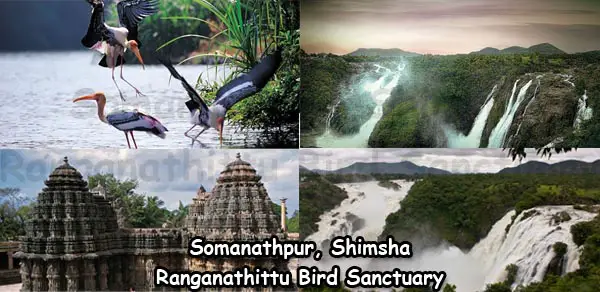 somanathpur-shimsha-ranganathittu-bird-sanctuary