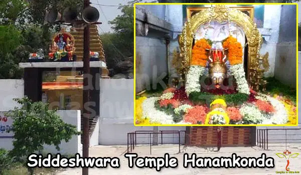 hanamkonda-siddeshwara-temple
