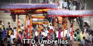 ttd-umbrellas