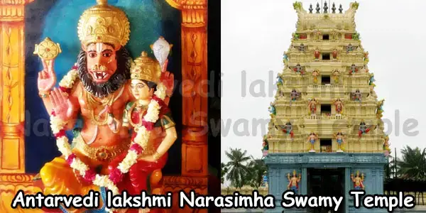 Antarvedi Sri Lakshmi Narasimha Swamy Temple History, Sevas, Timings - E  Godavari Temples