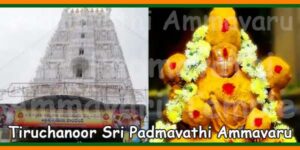 Tiruchanoor Sri Padmavathi Ammavari Temple