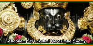 Ahobilam Sri Lakshmi Narasimha Swamy