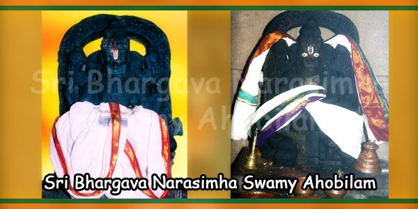 Sri Bhargava Narasimha Swamy Ahobilam