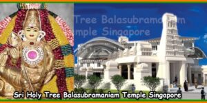 Sri Holy Tree Balasubramaniam Temple Singapore