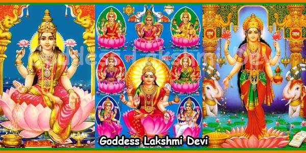 Image result for Goddess Lakshmi in many avatars