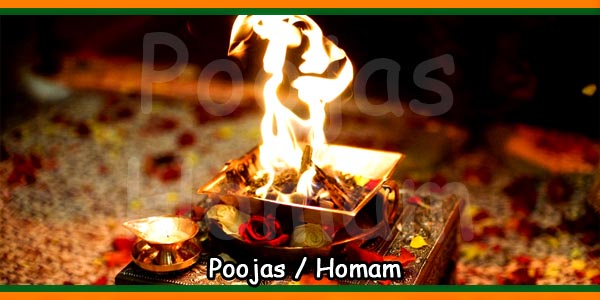 Poojas - Homam