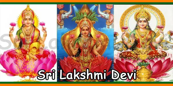 2030 Goddess Lakshmi Jayanti Pooja Date And Puja Timings