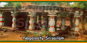 Nagalooty Srisailam