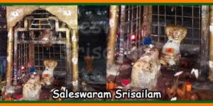 Saleswaram Srisailam