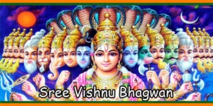 Sree Vishnu Bhagwan