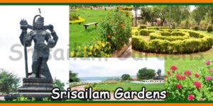 Srisailam Gardens