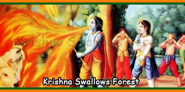 Krishna Swallows Forest
