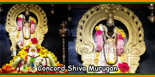 Concord Shiva Murugan