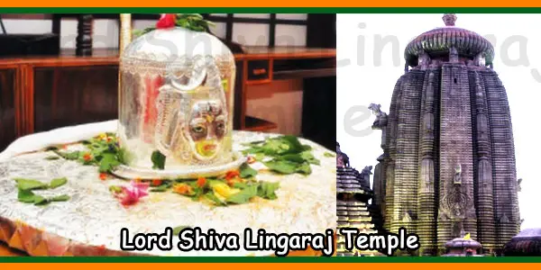 Lord Shiva Lingaraj Temple