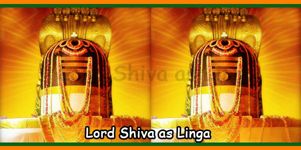 Lord Shiva as Linga