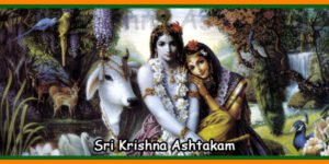 Sri Krishna Ashtakam