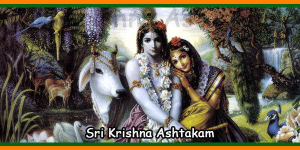 Sri Krishna Ashtakam Lyrics In English With Meaning Temples In India Info Slokas Mantras Temples Tourist Places I salute that govinda who is the extreme limit of happiness, who is truth, wisdom, eternal, stable, not ether bound and the eternal ether, who is happy to crawl in cowsheds, is beyond problems and is the end of problems, who due to illusion appears as without. sri krishna ashtakam lyrics in english