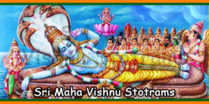 Sri Maha Vishnu Stotrams
