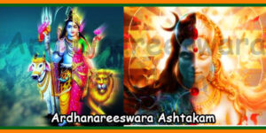 Ardhanareeswara Ashtakam