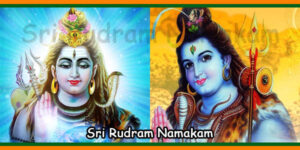Sri Rudram Namakam