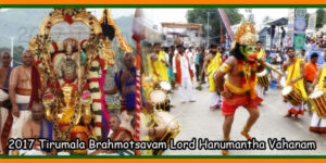 2017 Tirumala Brahmotsavam Lord Hanumantha Vahanam