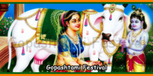 Gopashtami Festival