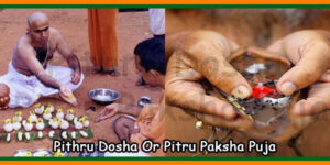 Pithru Dosha Or Pitru Paksha Puja