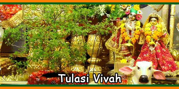 Tulasi Vivah-Marriage
